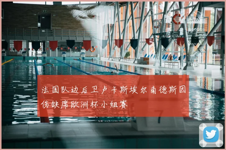 法国队边后卫卢卡斯埃尔南德斯因伤缺席欧洲杯小组赛