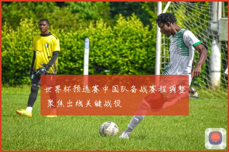 世界杯预选赛中国队备战赛程调整 聚焦出线关键战役