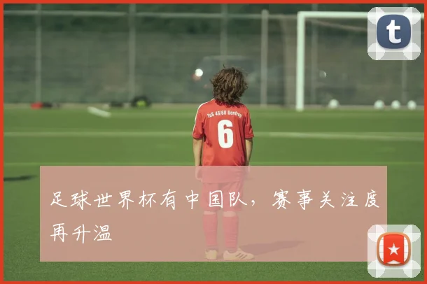 足球世界杯有中国队，赛事关注度再升温